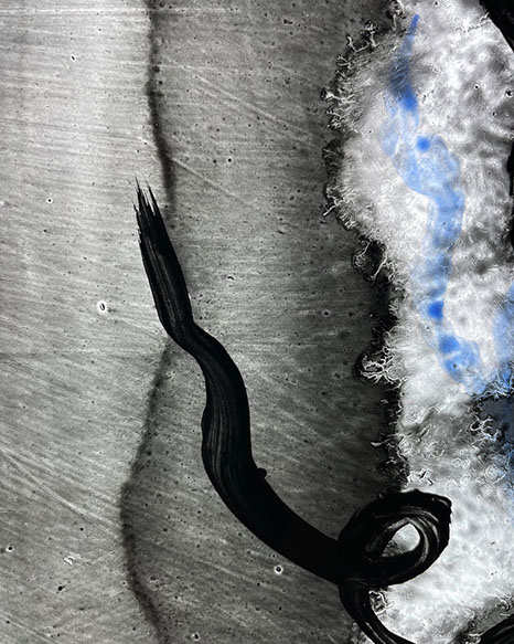 silk-screen printed stained glass, 15 lines of life by john reyntiens during making